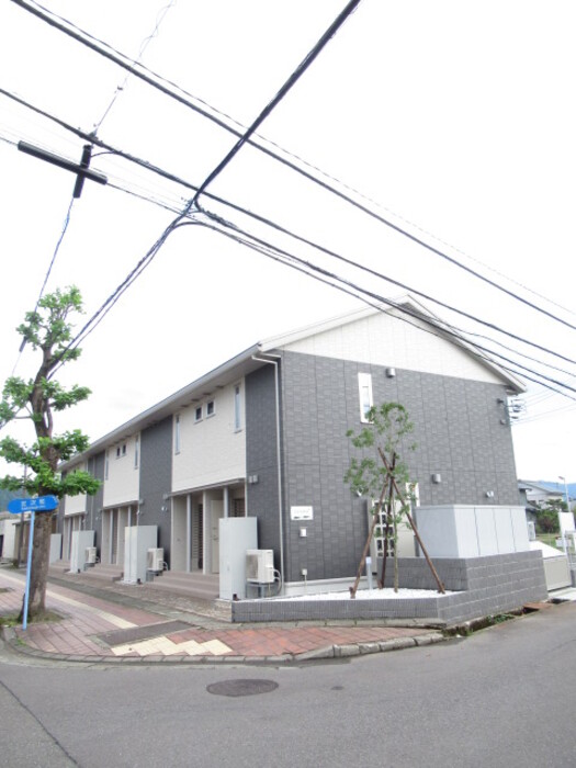 205号室